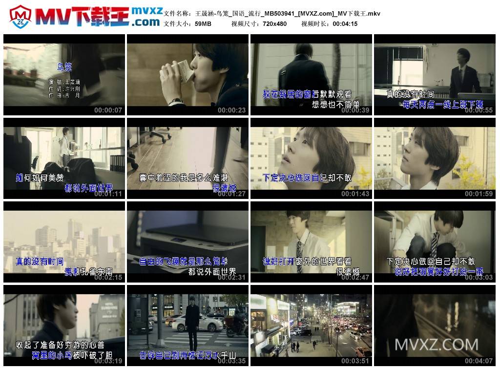 王晟涵-鸟笼_国语_流行_MB503941